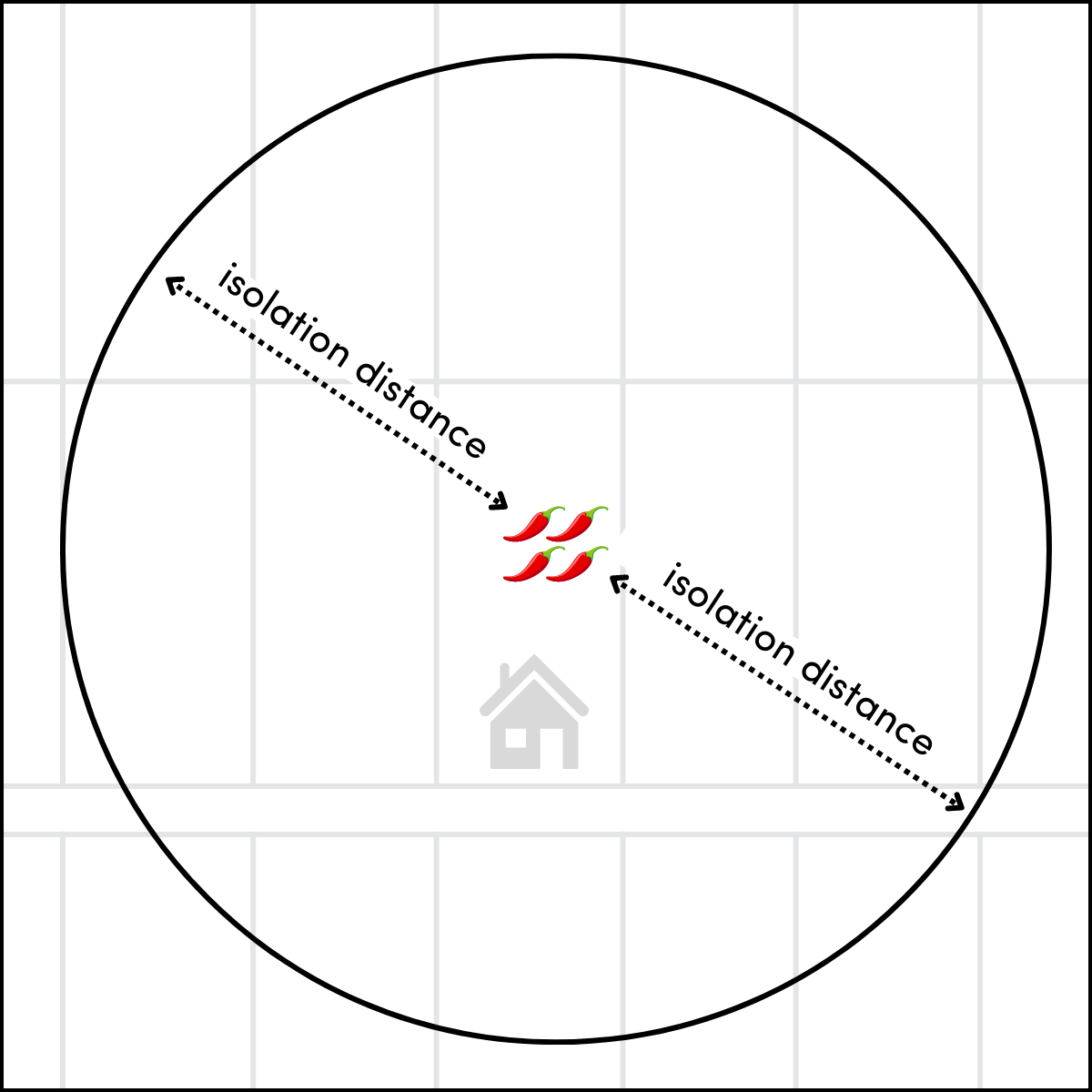 What is isolation distance in seed production at seth struth blog